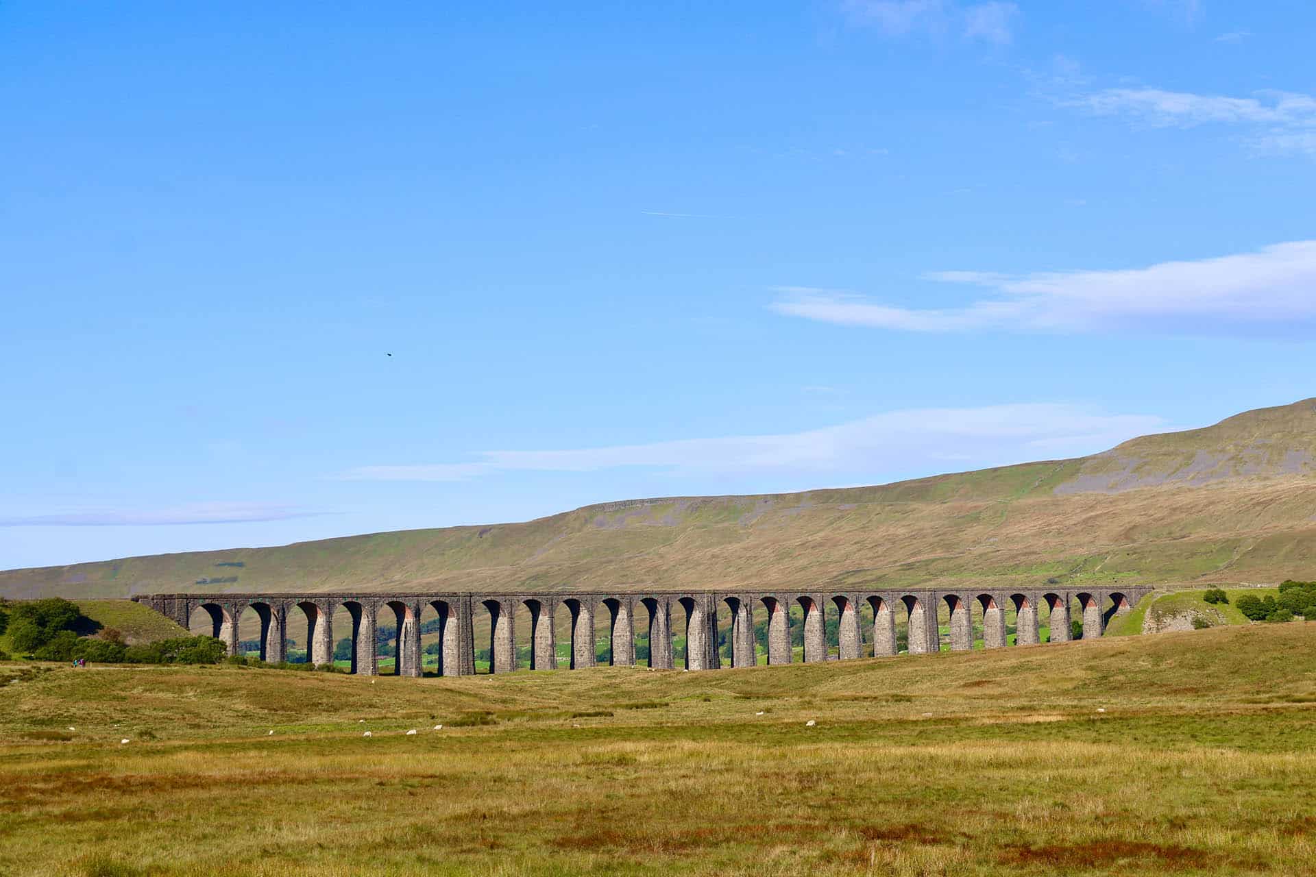 A picturesque view of the Ribblehead Viaduct surrounded by lush grassy landscapes, with the majestic Whernside peak in the distance, creating a harmonious natural scene.